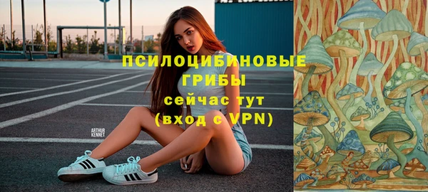 хмурый Лабытнанги