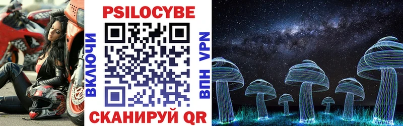 Галлюциногенные грибы Psilocybe mega Афипский